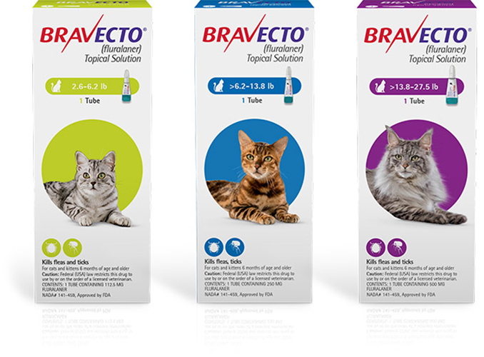 Bravecto For Cats