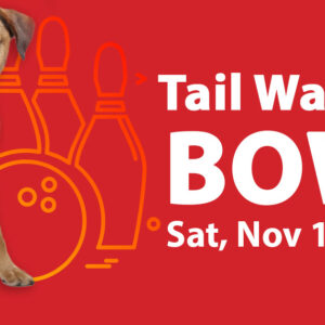 Tail Waggers Bowl